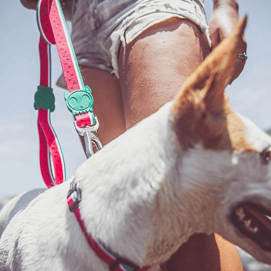 Zee-Dog Лента/Водач за куче Каишка 1см x 1.2м