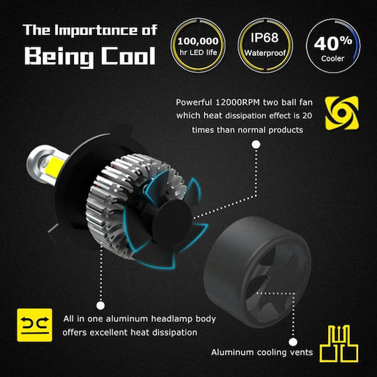 Nighteye Λάμπες Αυτοκινήτου H4 / S2 LED 6500K Ψυχρό Λευκό 24V 72W 2τμχ