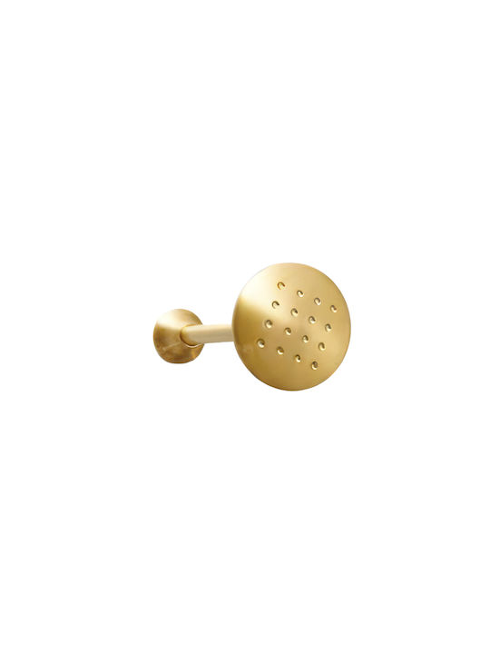 Anartisi A2 Holdback Wall made of Metal Gold Satin 1pcs