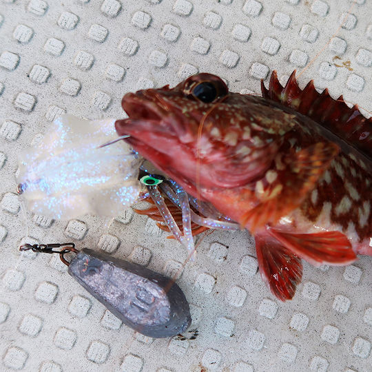 Viceo Squid 6 Καλαμαριέρα Φωσφοριζέ 15εκ. Ροζ