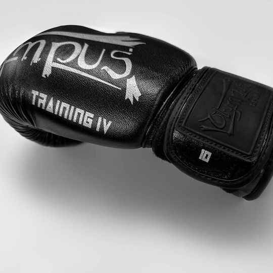 Olympus Sport Training IV Boxhandschuhe Leder für Kampf Grün