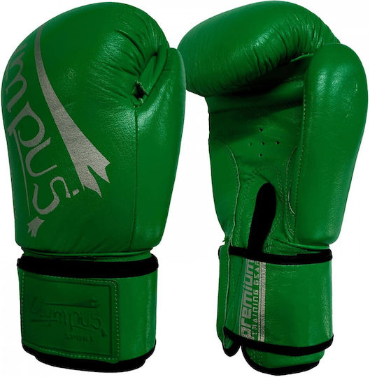Olympus Sport Training IV Boxhandschuhe Leder für Kampf Grün