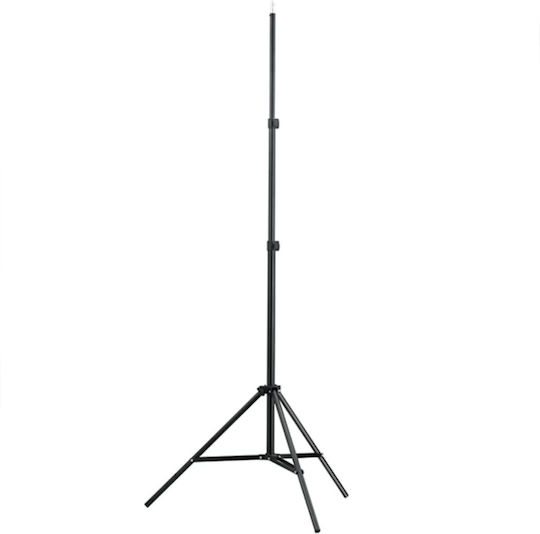 vidaXL Fotostudio Set Lichter Schirm für Studio