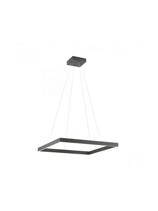 Redo Group Febe Pendant Light LED with Natural White Light Black