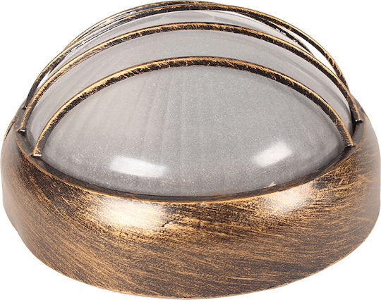 Keskor Broască Testoasă Bronz Keskor Broască Testoasă Bronz