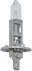 Carpoint Lampen Auto H1 Halogen Warmes Weiß 12V 55W 1Stück