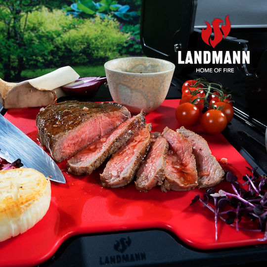 Landmann Schneidebrett Silikon Rot 24.5x24.5cm 1Stück