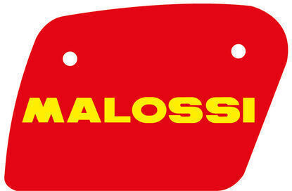 Malossi Filtru de aer pentru motociclete