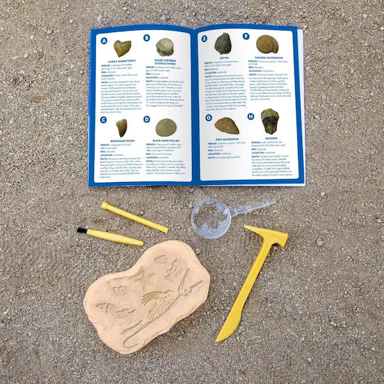Educational Insights Κιτ Ανασκαφής Απολιθωμάτων STEM Joc Educațional Excavare de dinozauri pentru 3+ ani Ani