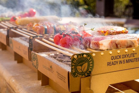 Grill for Camping for One Time Use 32x25x15cm