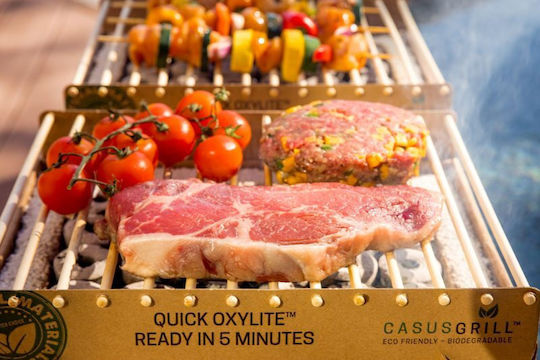 Grill for Camping for One Time Use 32x25x15cm