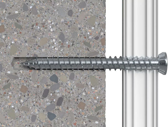 fischer Screw Galvanized with Diameter M7.5 and Length 122mm FFS