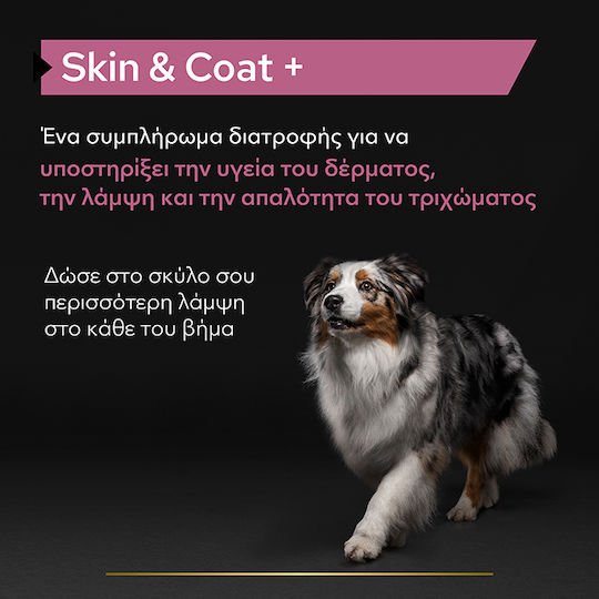 Pro Plan Skin & Coat+ Dog Dietary Supplement Oil 250ml for Skin & Hair