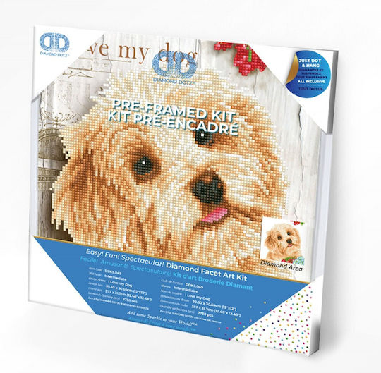Diamond Dotz Diamond Painting Kit cu Ramă 30.5x30.5cm