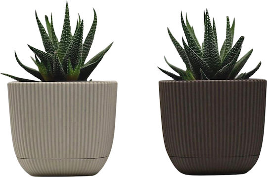 Viosarp Coral Plastic Flower Pot Beige 15x15x13cm