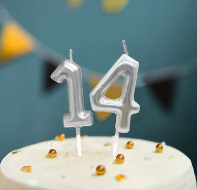 Birthday Candle Number "4" in Silver Color SDS-18554