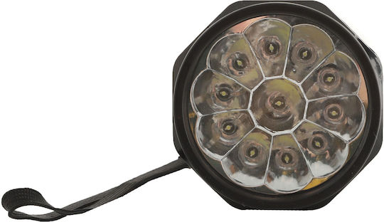 Campus Led Battery Lantern for Camping