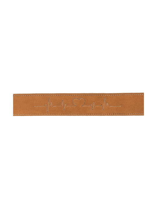 Trixie Cardiogram Dog Collar Leather in Brown color Large / XLarge