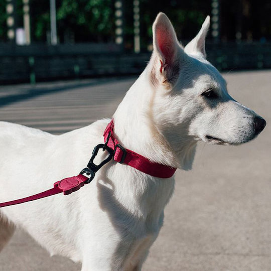 Zee-Dog Λουρί/Οδηγός Σκύλου Ιμάντας σε Κόκκινο χρώμα 1.2m x 1cm