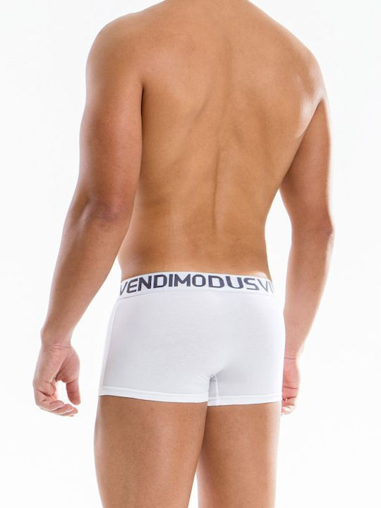 Modus Vivendi Modus Vivendi