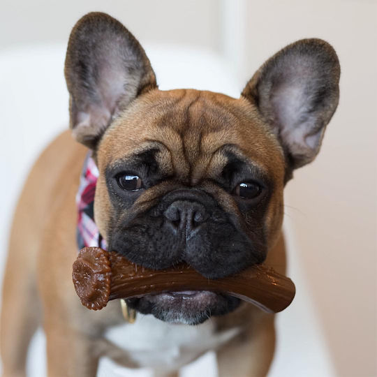Pet Qwerks Horn Hund Mittelgroße Rassen aus Hirsche und Käse 12cm