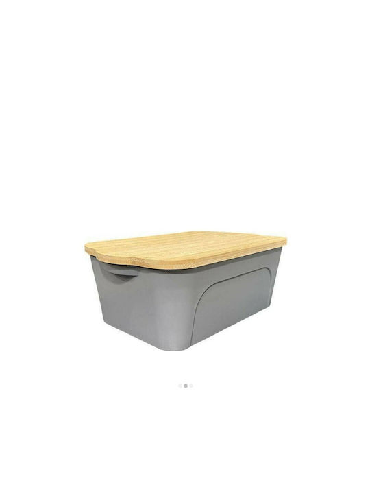 Plastic Storage Box with Lid Gray 44x29x14cm