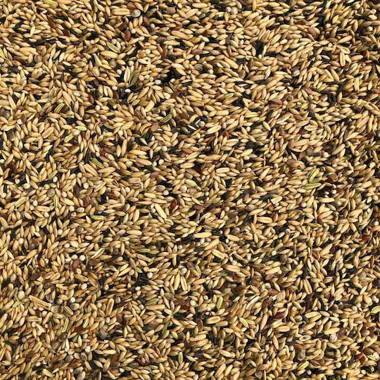 Farma Friends Mix Special Birds Food for Canaries 20kg