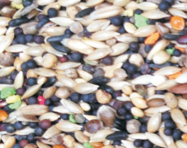 NATURline Hrană pentru Canare 20kg
