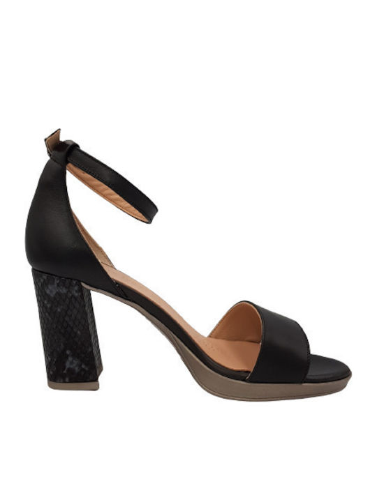 Desiree Shoes Desiree Shoes