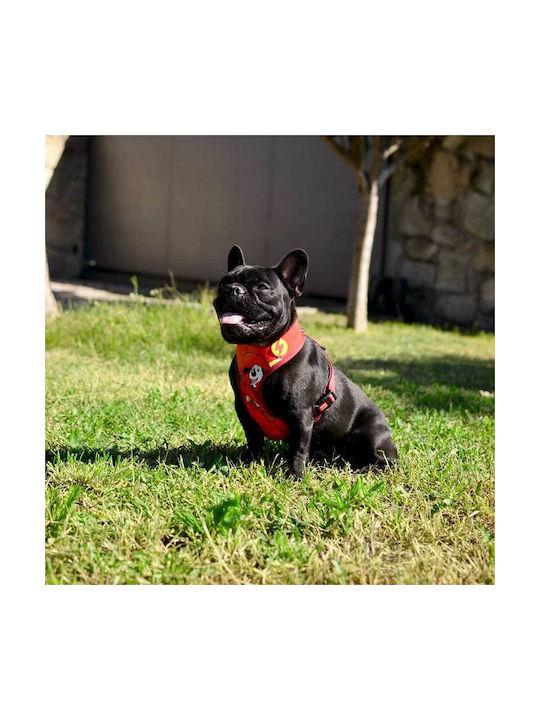 Dashi Dog Harness Red X-Small 30-36cm DNM00121