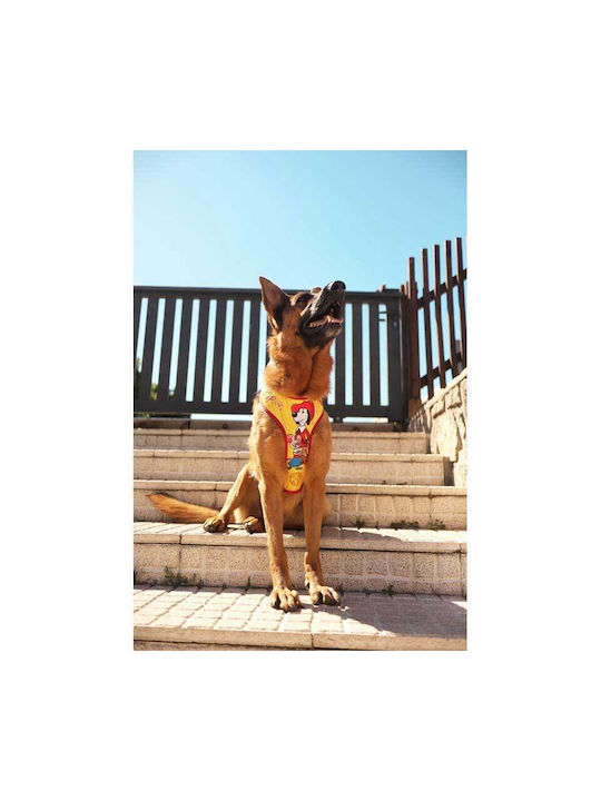 Dashi Hundegeschirr Pip Gelb X-Large 75-107cm DNM00143