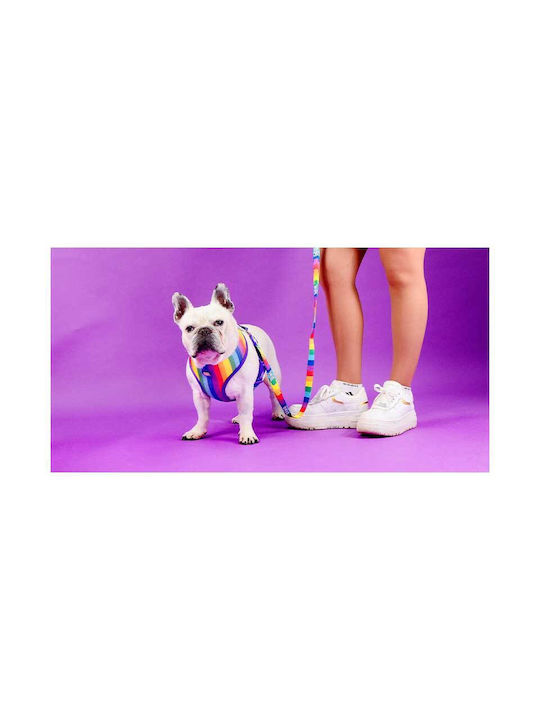 Dashi Нагръдник за куче Betty Лилав X-Large 75-107см DNM00284