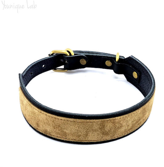 Younique Lab Dog Leash/Lead Leather SMALL in Black color 3cm