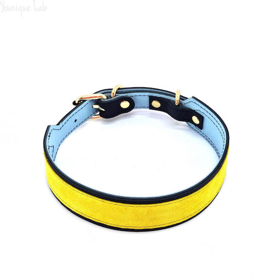 Younique Lab Dog Leash/Lead Leather LARGE in Blue color 3cm
