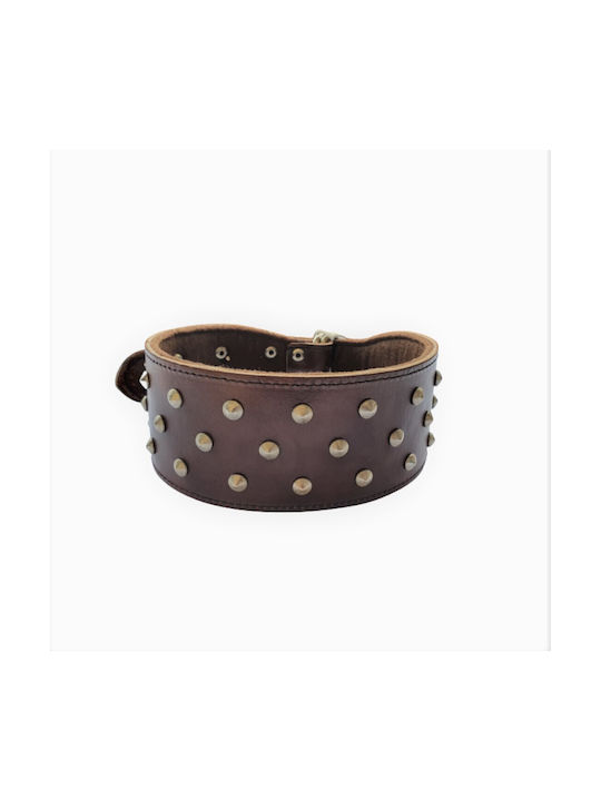 ByLeather Κολάρο Σκύλου Δερμάτινο σε Καφέ χρώμα Small 60cm