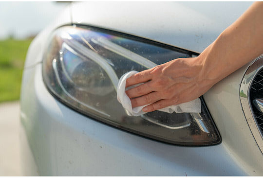 Lampa Insect Cleaner Car Window Pads 24 Pieces