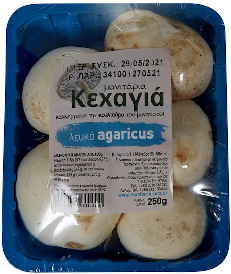 Μανιτάρια Φρέσκα Εισαγωγής 250gr