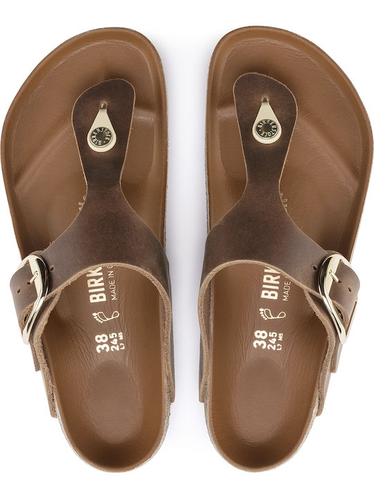 Gizeh Big Buckle Leather Women's Flat Sandals Anatomic in Tabac Brown Color Regular Fit