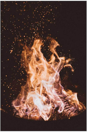Close-Up of a Fire on Black Background Painting on Canvas 40x50cm