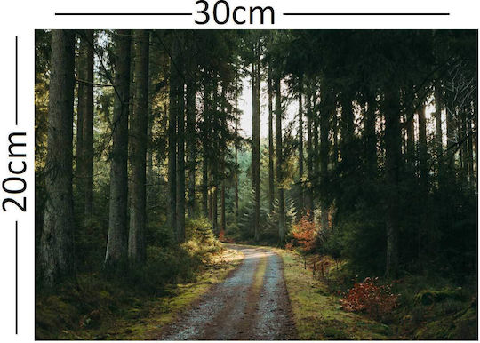A Dirt Road in the Middle of a Forest Painting on Canvas 30x20cm