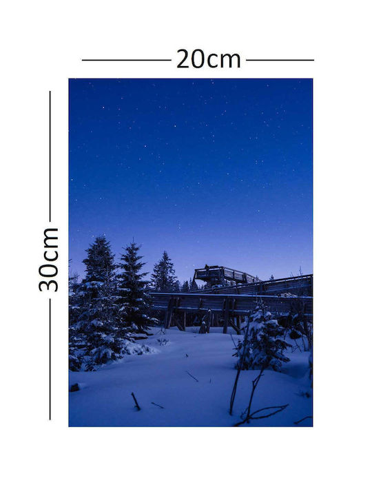 Картина Платнен 20x30см