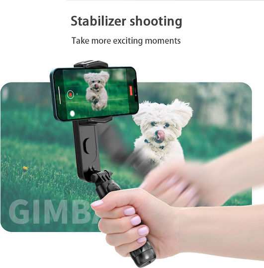 Techsuit Selfie Stick with Bluetooth & Remote Control Q09 Black
