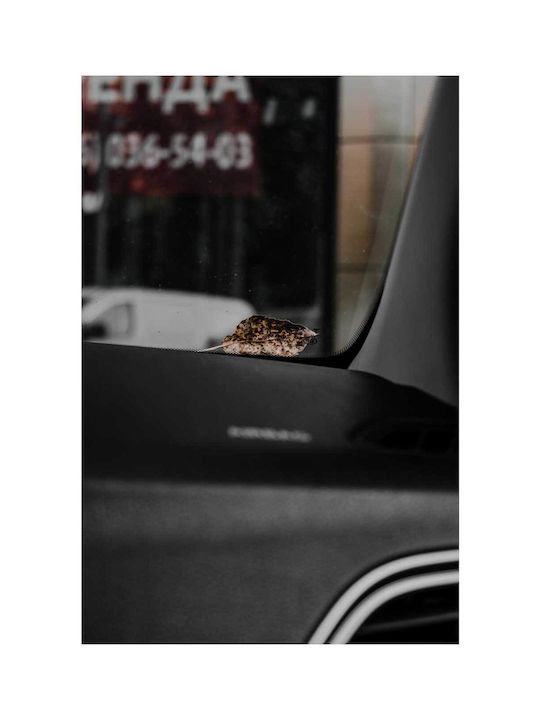 Картина на Платно 80x120см