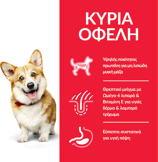 Hill's Science Plan Adult Mini 6кг Суха Храна без Глутен за Възрастни Кучета от Малки Породи с Пилешко и Ориз