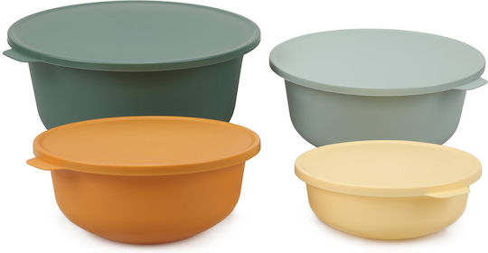 Mehrfarbige Mittagsboxen Set 4 Stück