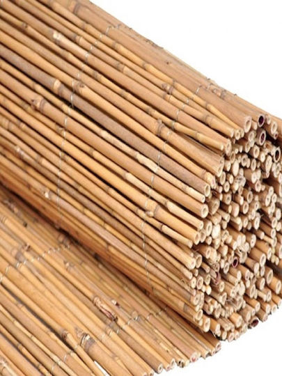 Καλαμωτή Ξύλινη με Ολόκληρο Ξύλο 1x3m 235900101