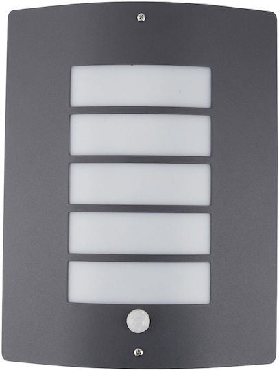 Avide Ceiling Lamp 20cm