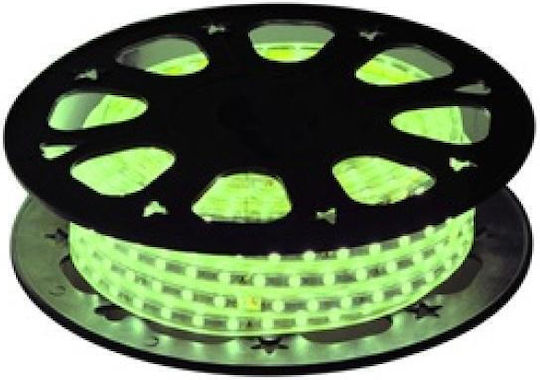 Christmas Light Tube Green 220V 1800 Light Bulbs 50m IP65