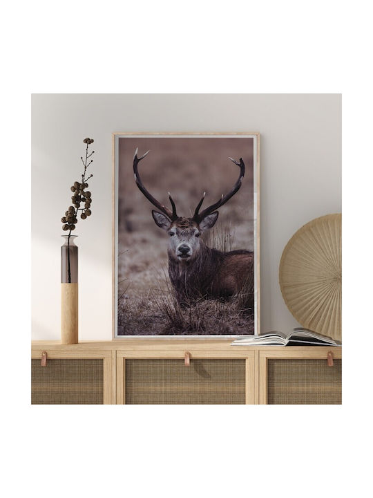Walls Poster