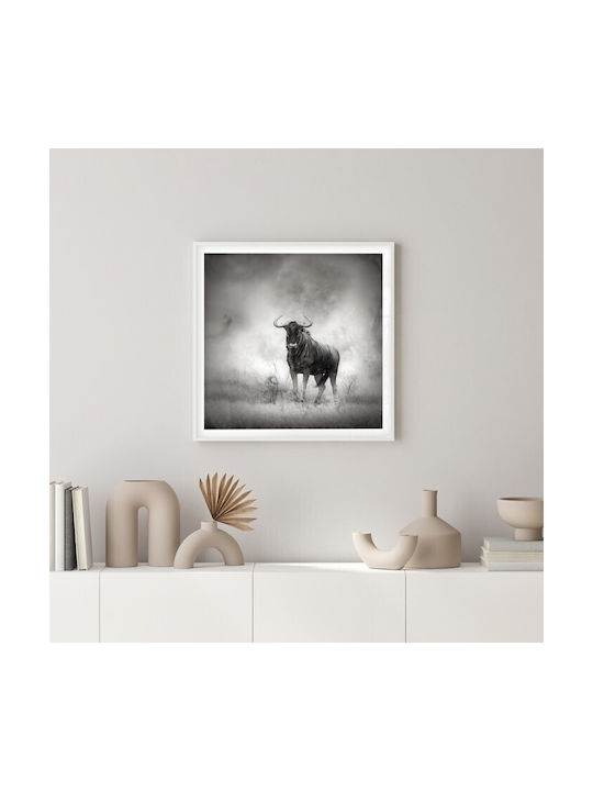 Walls Poster 70x70cm